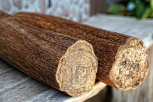 Các loại gỗ tốt cho sức khỏe dùng trong nội thất
